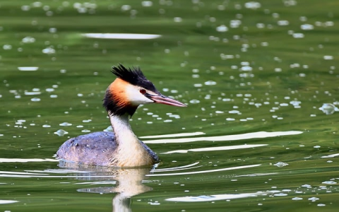 云主机建主机软件-VPS联盟