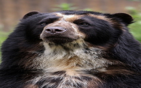 云主机贴吧-VPS联盟