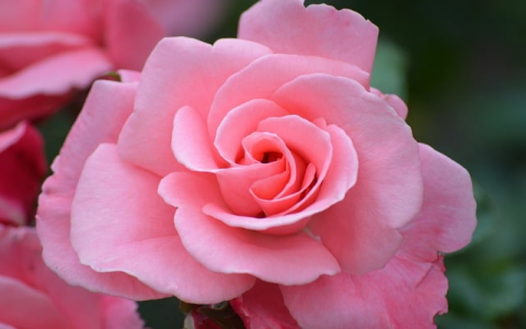 云主机虚拟主机空间-VPS联盟