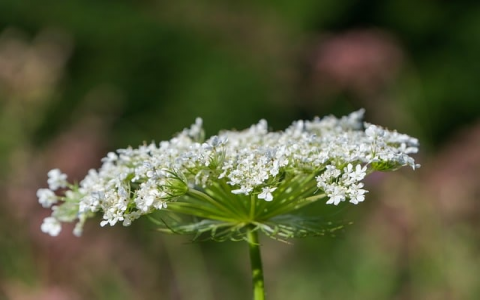 云主机管理-VPS联盟