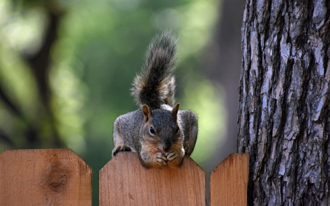 云主机好还是虚拟主机好-VPS联盟