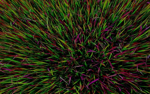 在线开通云服务器软件-VPS联盟