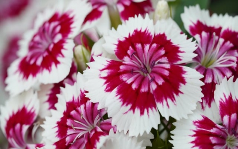 云主机怎么操作-VPS联盟