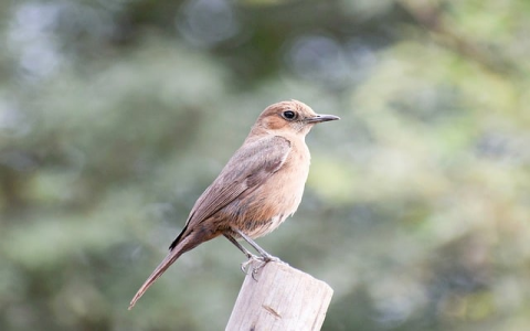 云主机免费体验-VPS联盟