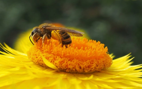 云租赁价格-VPS联盟