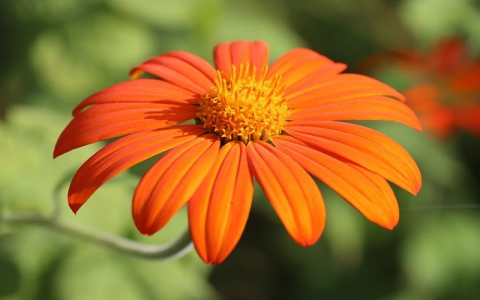 云主机和vps的区别-VPS联盟