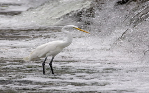 云主机里多站点设置-VPS联盟