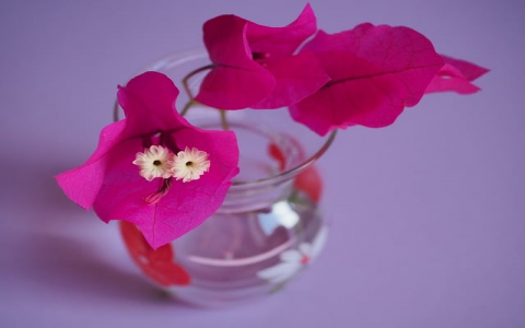 云主机用户名是什么-VPS联盟