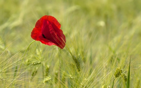 云主机计时-VPS联盟