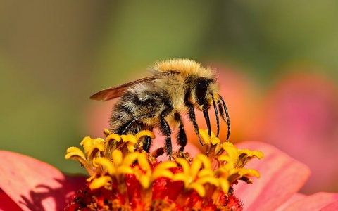 云主机环境搭建-VPS联盟