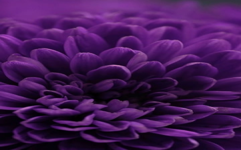 云主机很便宜-VPS联盟