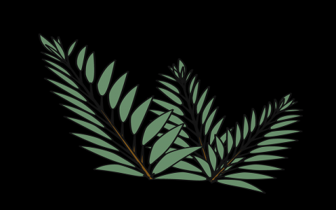 云主机可以连接桌面吗-VPS联盟