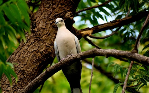 云主机怎么连接电脑连接-VPS联盟