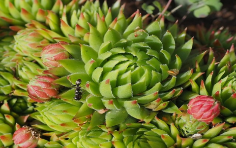 云主机配置网站-VPS联盟