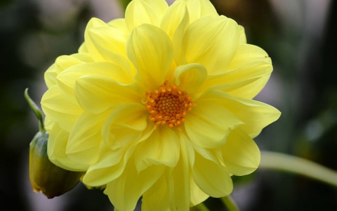 云主机与虚拟主机的区别-VPS联盟