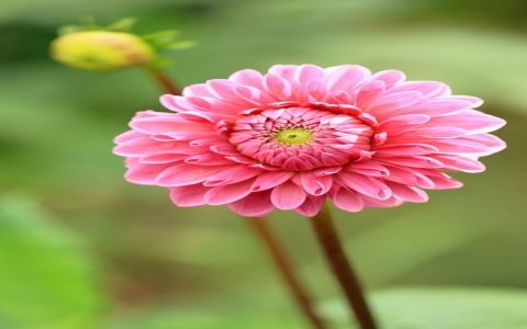 云主机检测的硬件-VPS联盟