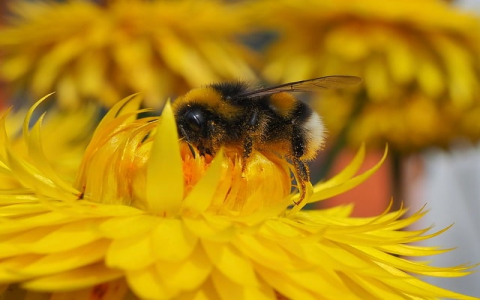 云主机好还是vps好-VPS联盟