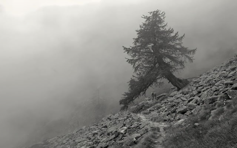 云主机没有数据盘-VPS联盟