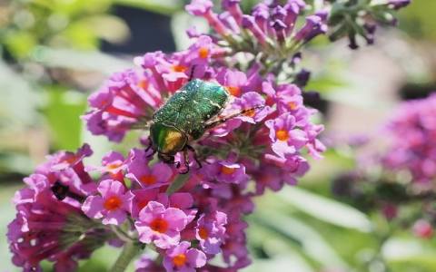 云主机挂网站-VPS联盟