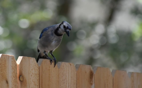 云主机赚钱-VPS联盟