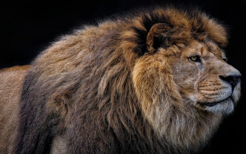 云主机租用-VPS联盟