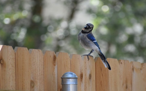 云主机租赁合同-VPS联盟