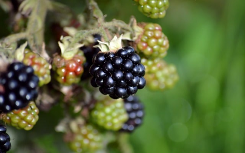 云主机怎么设置-VPS联盟