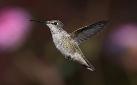 云主机免-VPS联盟