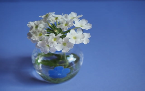 云主机网站配置-VPS联盟