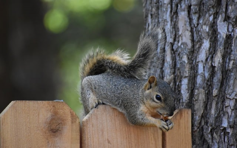 云主机如何上传网站-VPS联盟