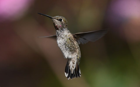 云主机内存-VPS联盟