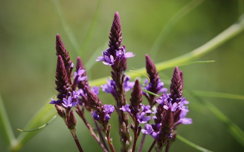 在QQ空间怎么看我的奖励啊-VPS联盟