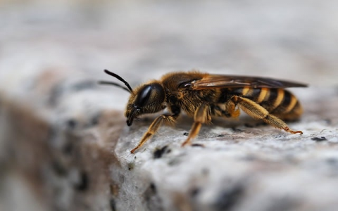 云主机年付-VPS联盟