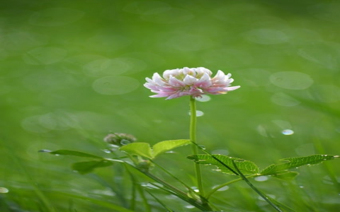 云主机怎么配置-VPS联盟