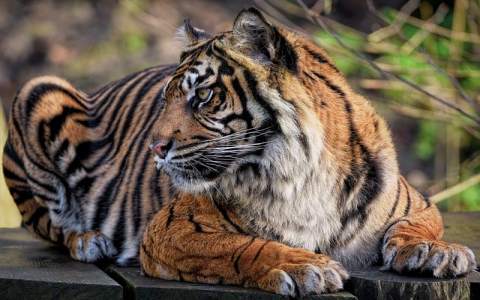 云主机与服务器的优势-VPS联盟