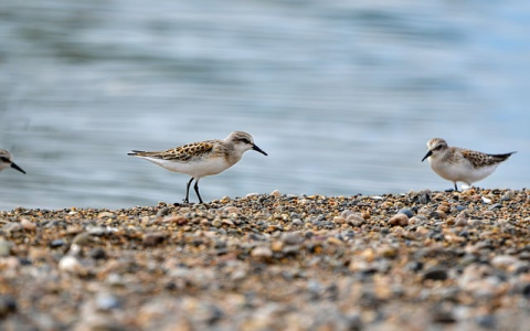 云主机网站目录-VPS联盟