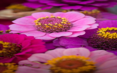 云主机性能测试-VPS联盟