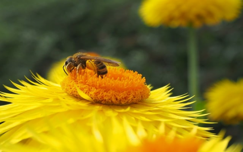 在小公司卖服务器有发展嘛-VPS联盟