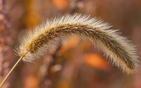 云主机和服务器租用-VPS联盟