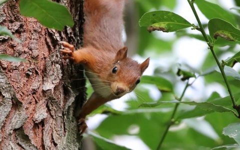 云主机里面wwwrot-VPS联盟