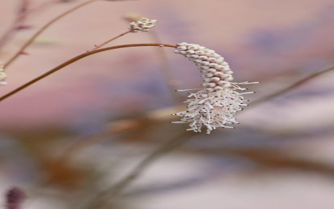 云主机用户名-VPS联盟