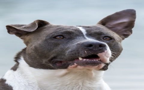 在vps上建ftp-VPS联盟