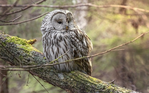 云主机认证密码忘了-VPS联盟