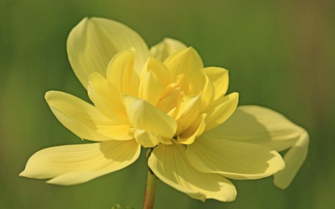 云主机控制面板-VPS联盟