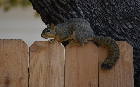 云主机是干嘛用的-VPS联盟