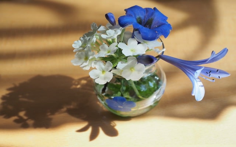 云主机级别-VPS联盟