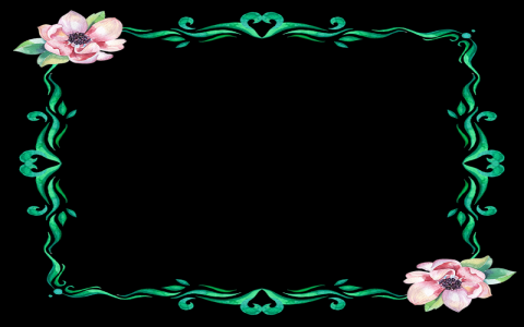 在西部数据注册域名怎么样-VPS联盟