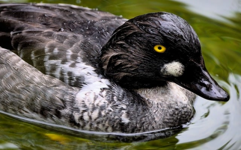 在线sqlserver数据库-VPS联盟