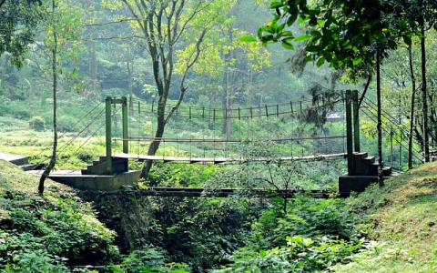 云主机能玩游戏吗-VPS联盟