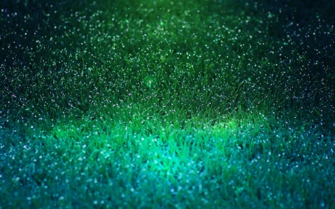 云主机架设私服-VPS联盟